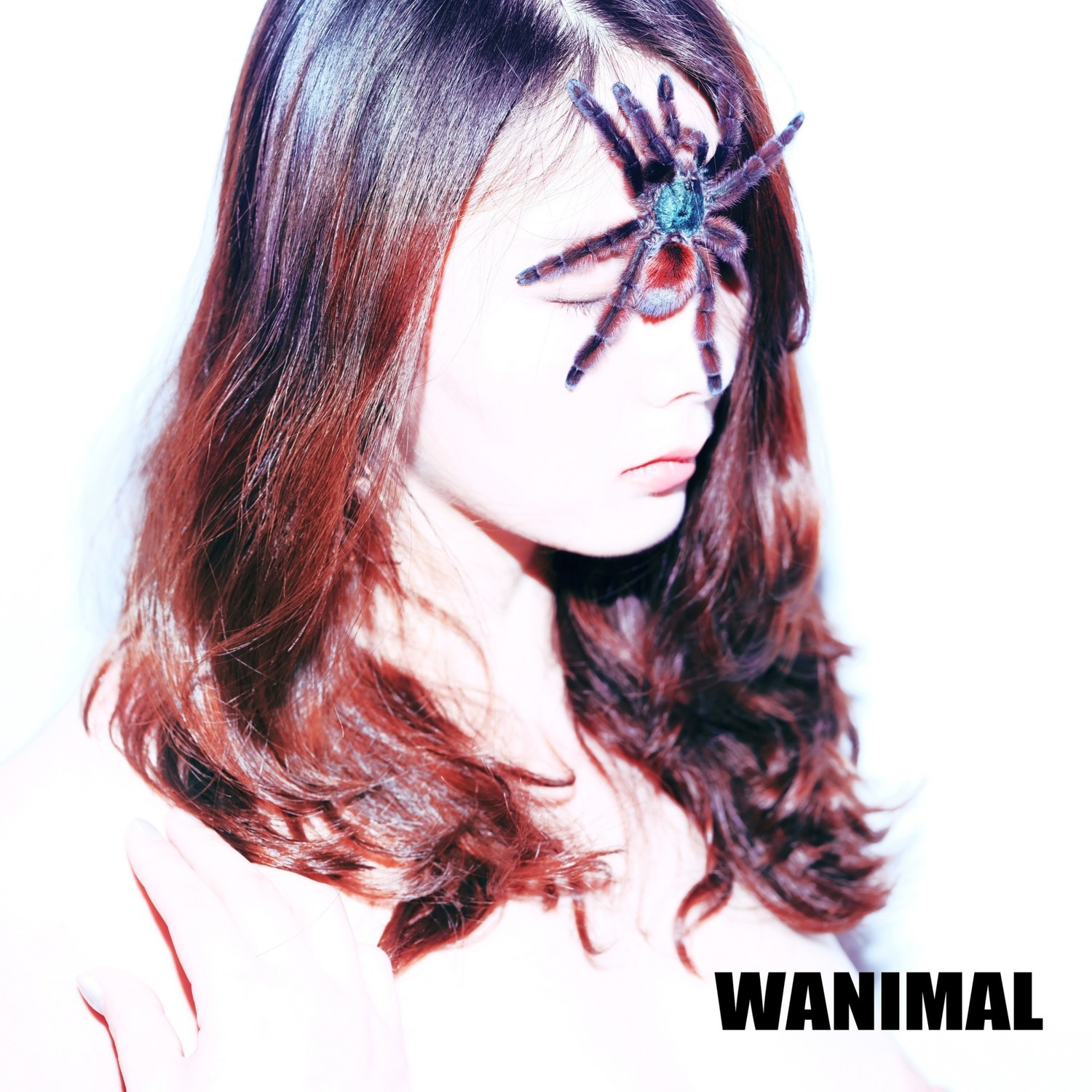 [WANIMAL王動系列] 2019.03 月VIP大尺度寫真6 Set.02 6