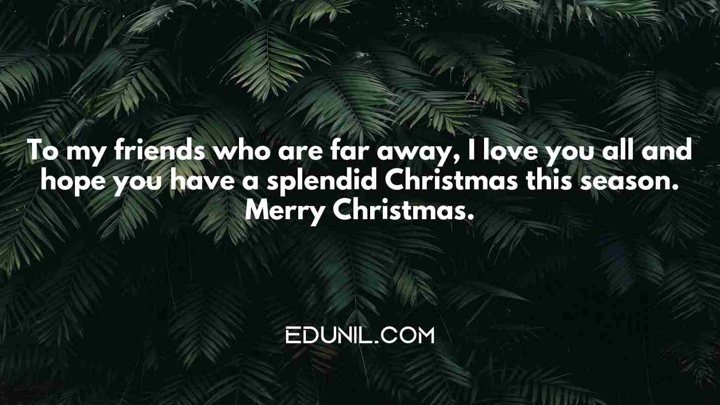 To my friends who are far away, I love you all and hope you have a splendid Christmas this season. Merry Christmas. - 
