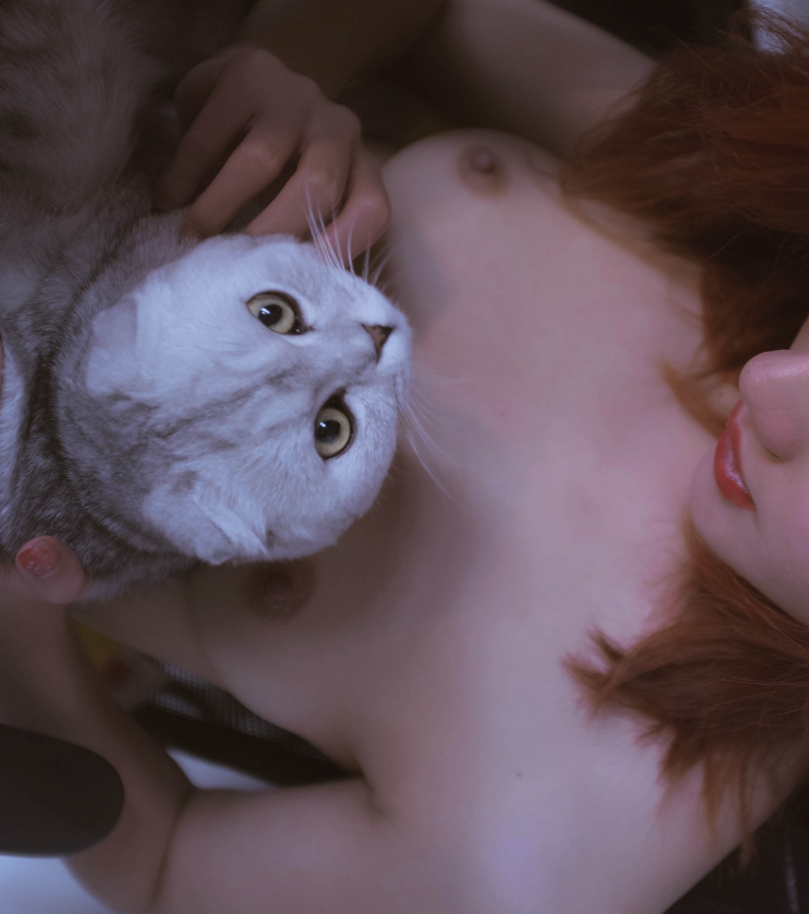 阿朱 - 逗猫棒 42P 4