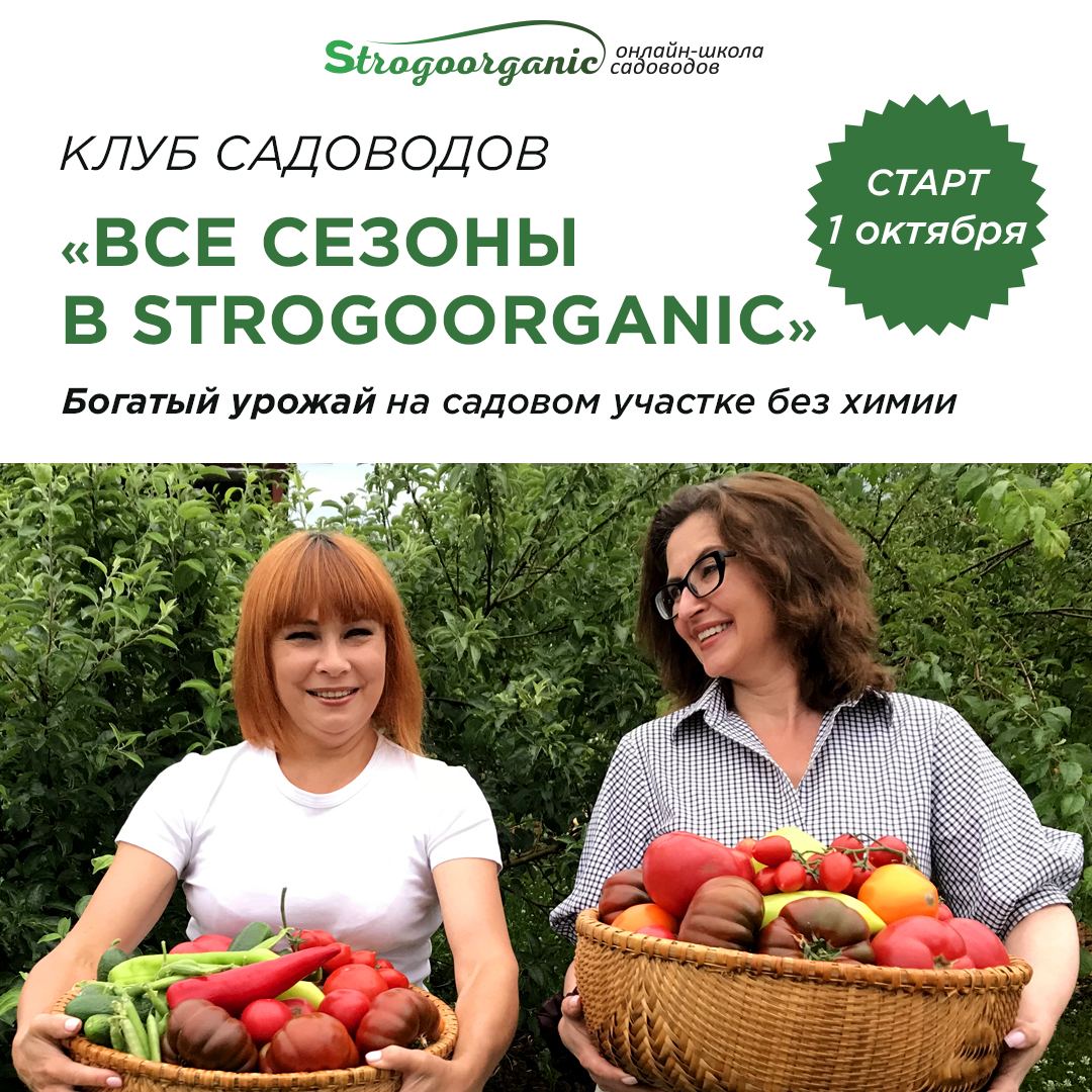 Клуб садоводов профессионалов реальные отзывы. Онлайн школа садоводов strogoorganic.