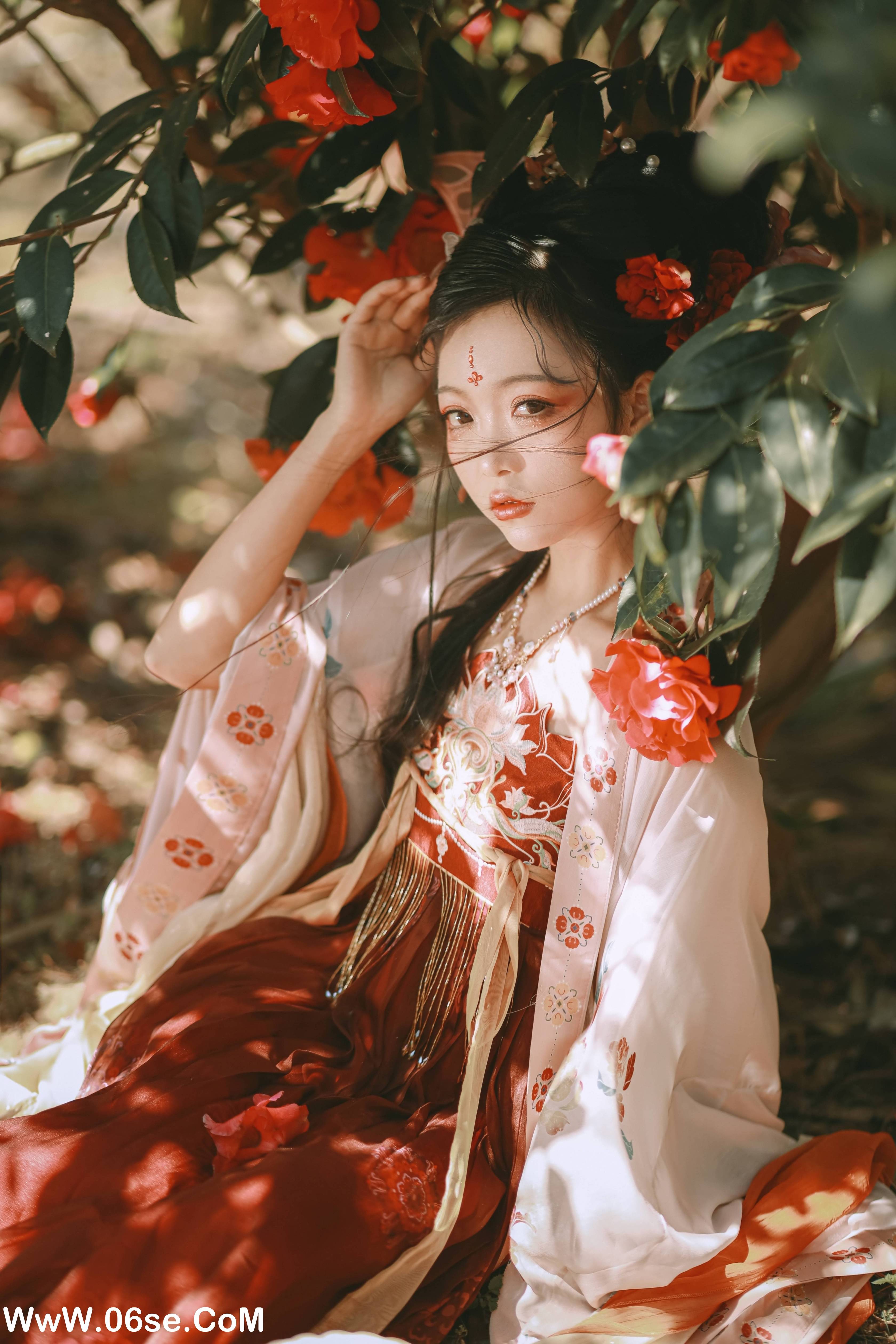 图片[4]-[YITUYU艺图语]2022.06.26 山茶花神 芍药_Y[42P-469M]-六色网