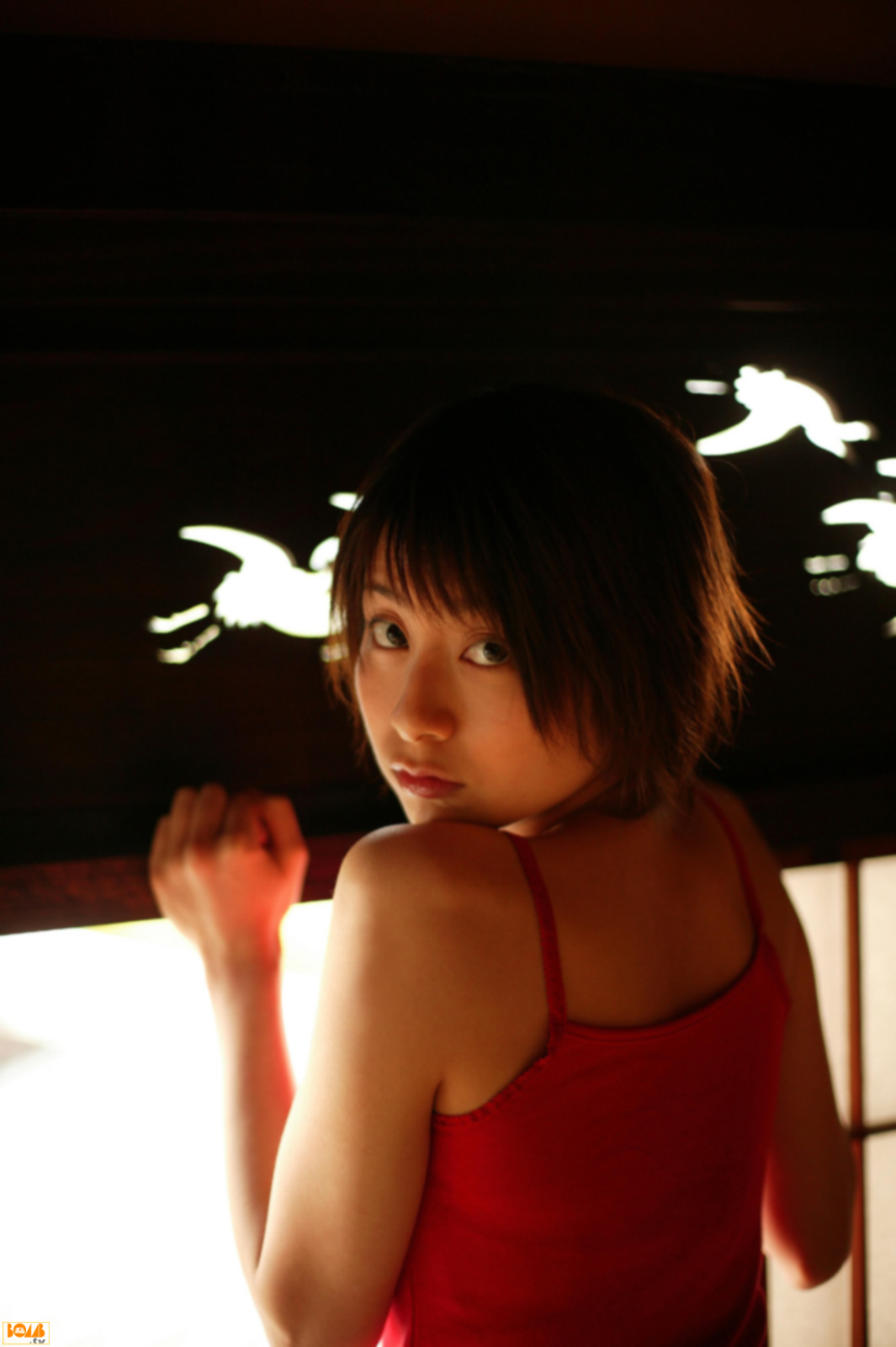 [Image: acee34422ae5b461ba9d5.jpg]