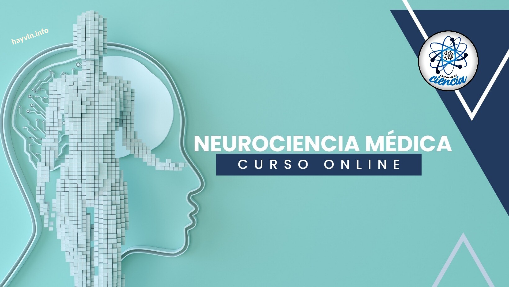 A tekintélyes egyetem HIVATALOS TANÚSÍTVÁNYOKKAL kínál online tanfolyamot az orvosi idegtudományból