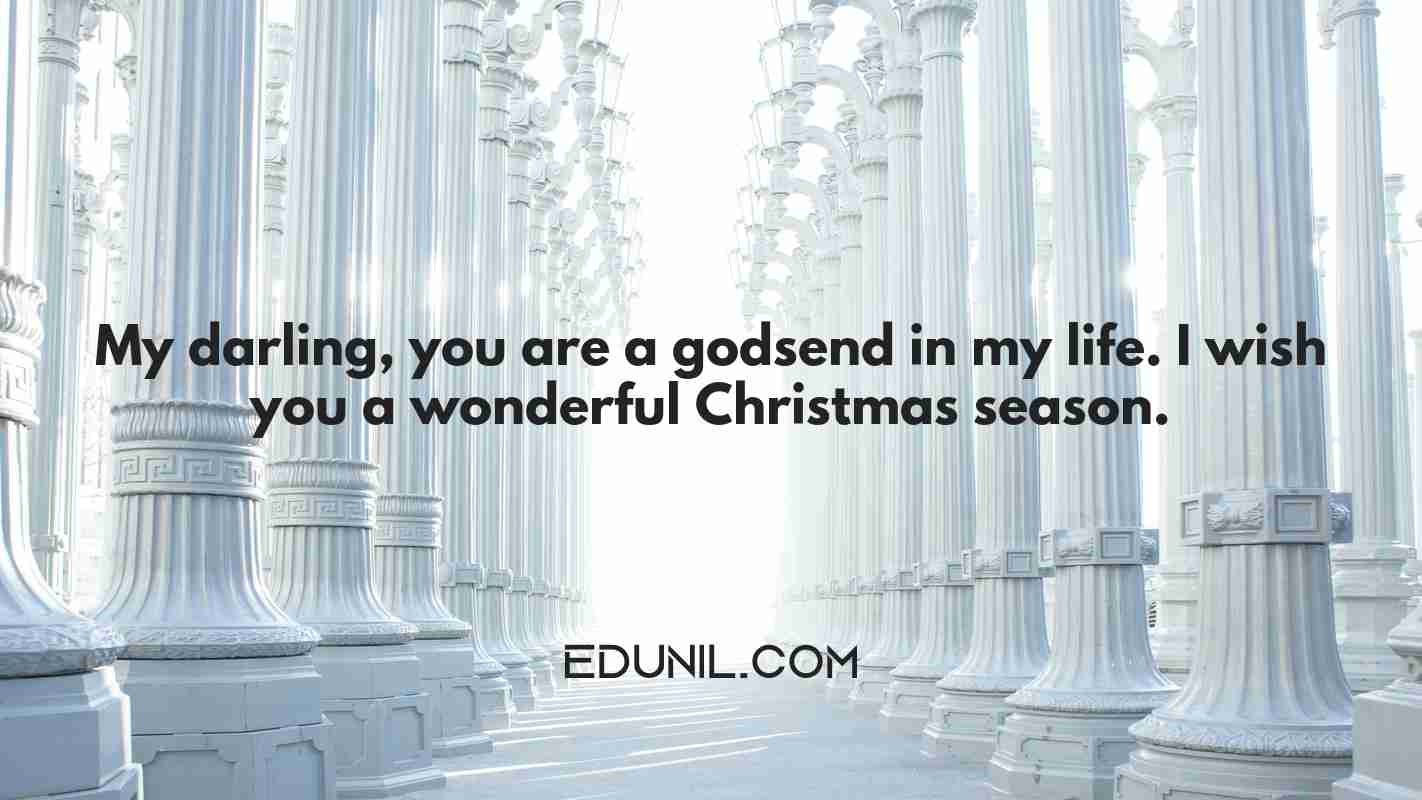 My darling, you are a godsend in my life. I wish you a wonderful Christmas season. - 
