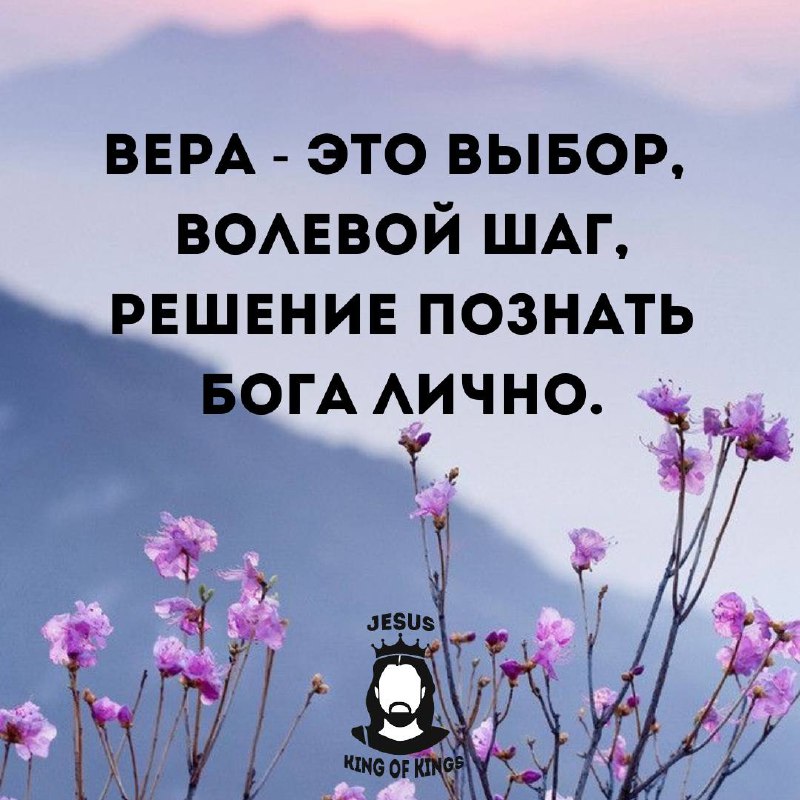 Волевые качества характера человека. У человека есть выбор цитаты. Я когда то сделал выбор волевой. Я когда то сделал выбор волевой. Цитаты про правильный выбор в жизни.