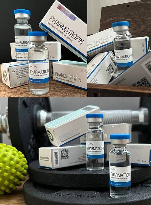 Телеграмм канал спортики