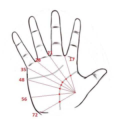 Номер линии жизни яровое. Линия жизни по годам. Линия жизни культура. Как определить Возраст по линии жизни на руке.