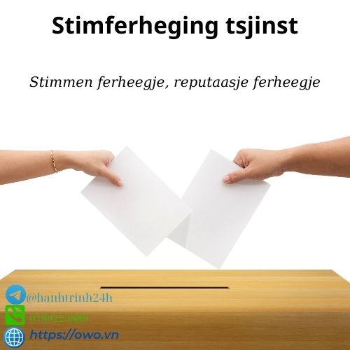 Stimferheging tsjinst: Us stimferheging tsjinst soarget derfoar dat jo stim wurdt heard, mei in fokus op demokratyske partisipaasje en ynfloed.