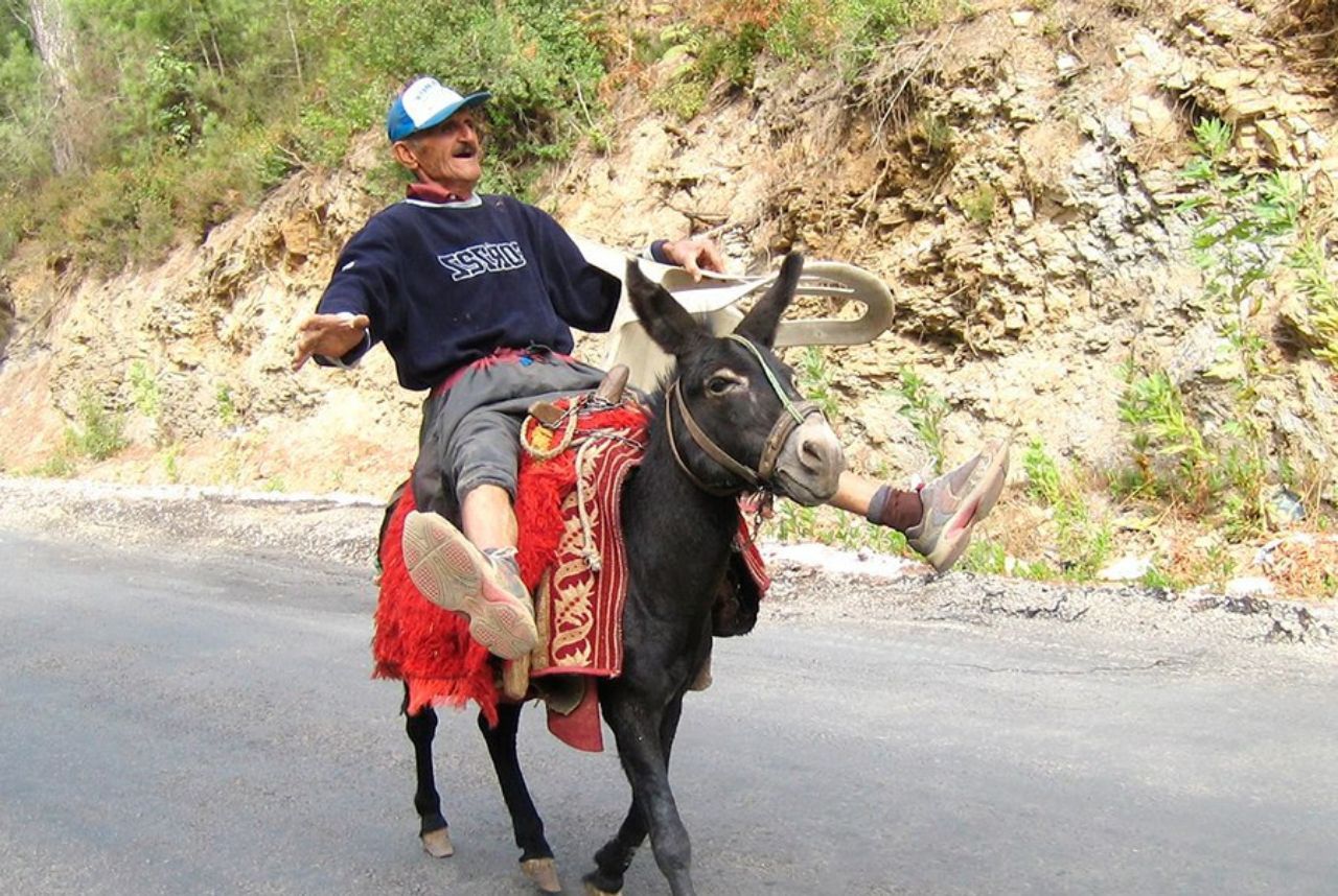 В Мексике осел считается транспортным средством. 