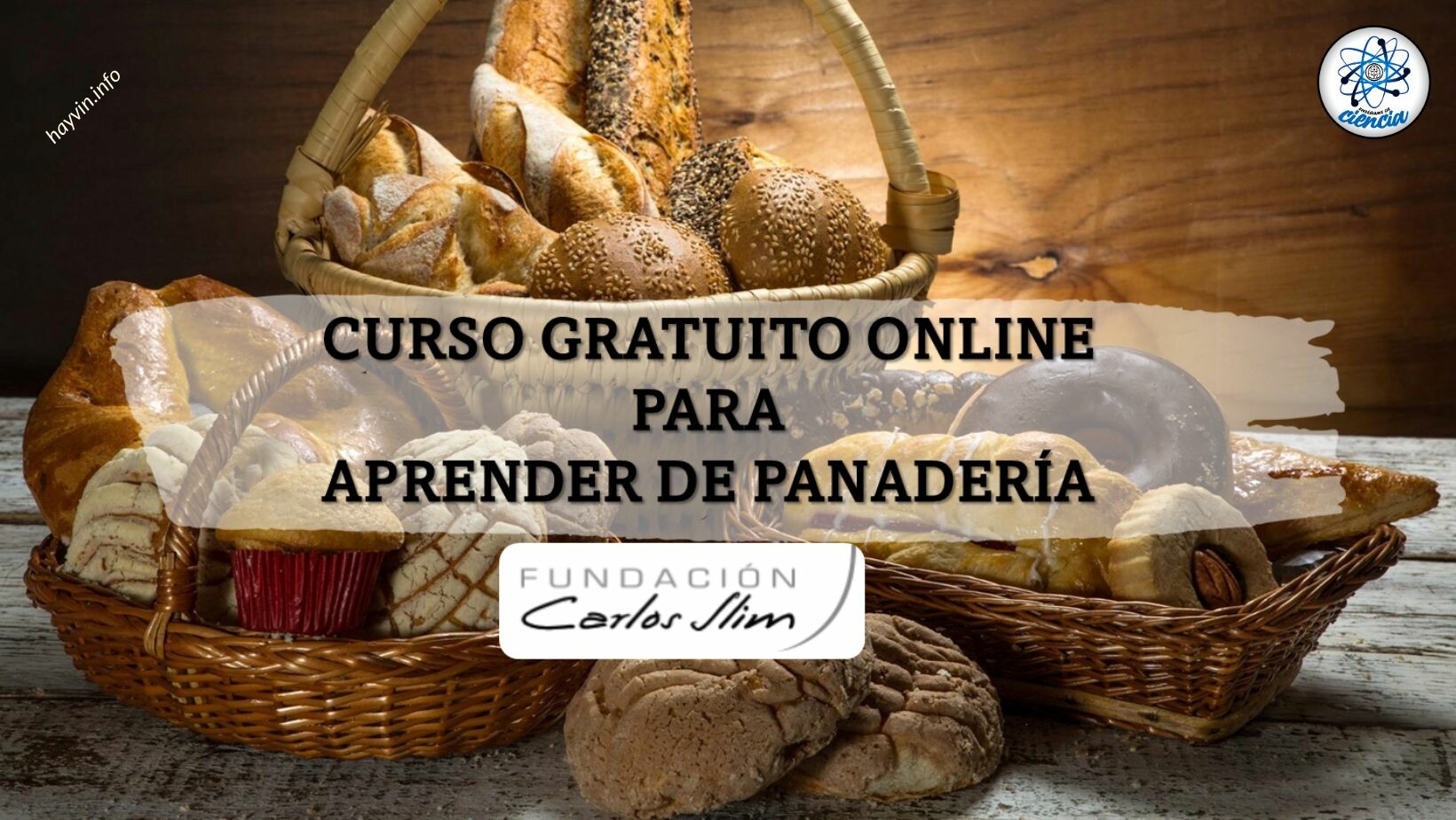 A Carlos Slim Alapítvány INGYENES online tanfolyamot indít megtanulni saját kenyeret készíteni, hivatalos bizonyítvánnyal!