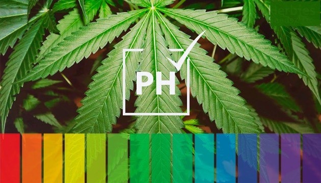Psh guide cannabis pH