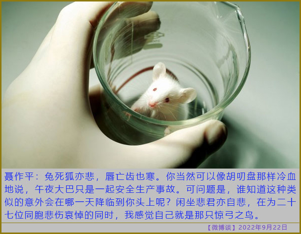 https://telegra.ph/file/b06cce871ddda7caa09c2.jpg