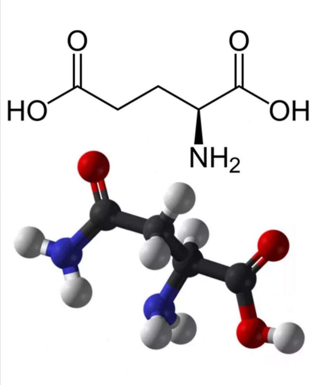 Глутаминовая кислота структурная формула картинка