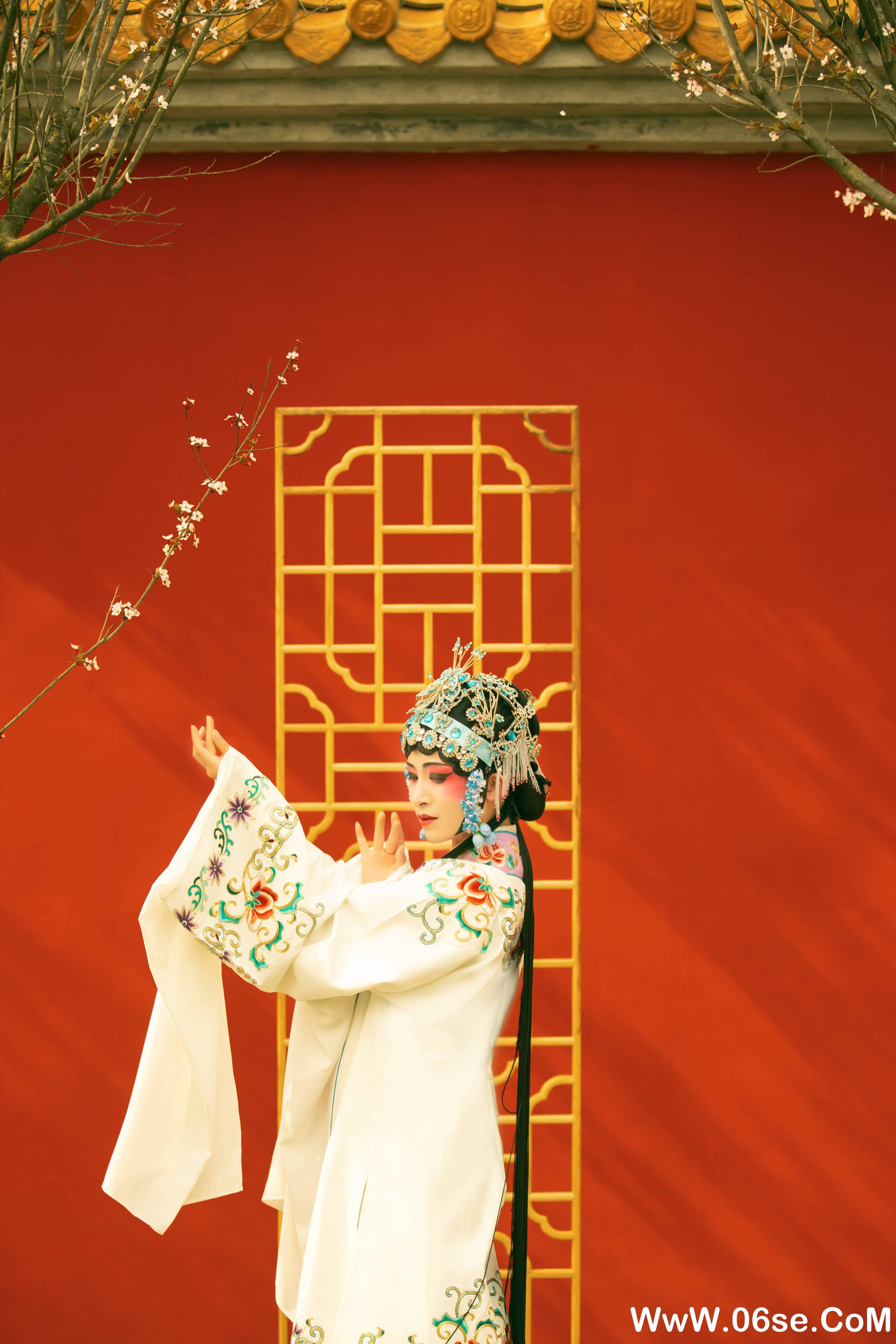 图片[9]-[YITUYU艺图语]2021.12.18 花满枝 修水凝花[22+1P／295MB]-六色网