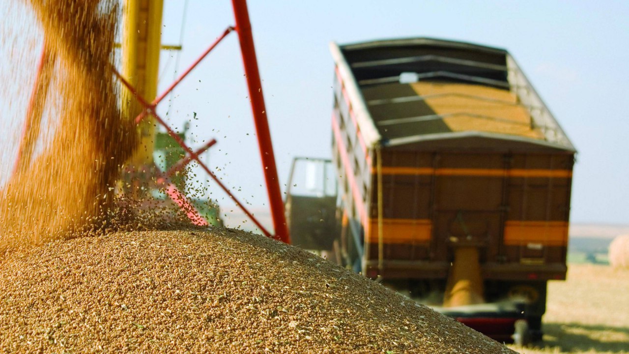РЗС повысил прогноз экспорта российского зерна в этом сельхозгоду