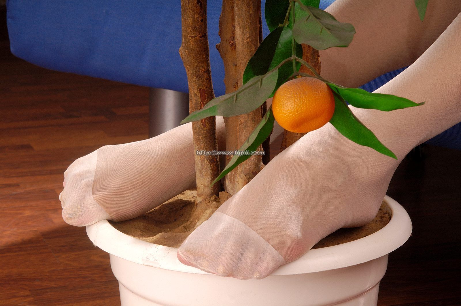 [Image: b0f0e53478ea6d49b19df.jpg]