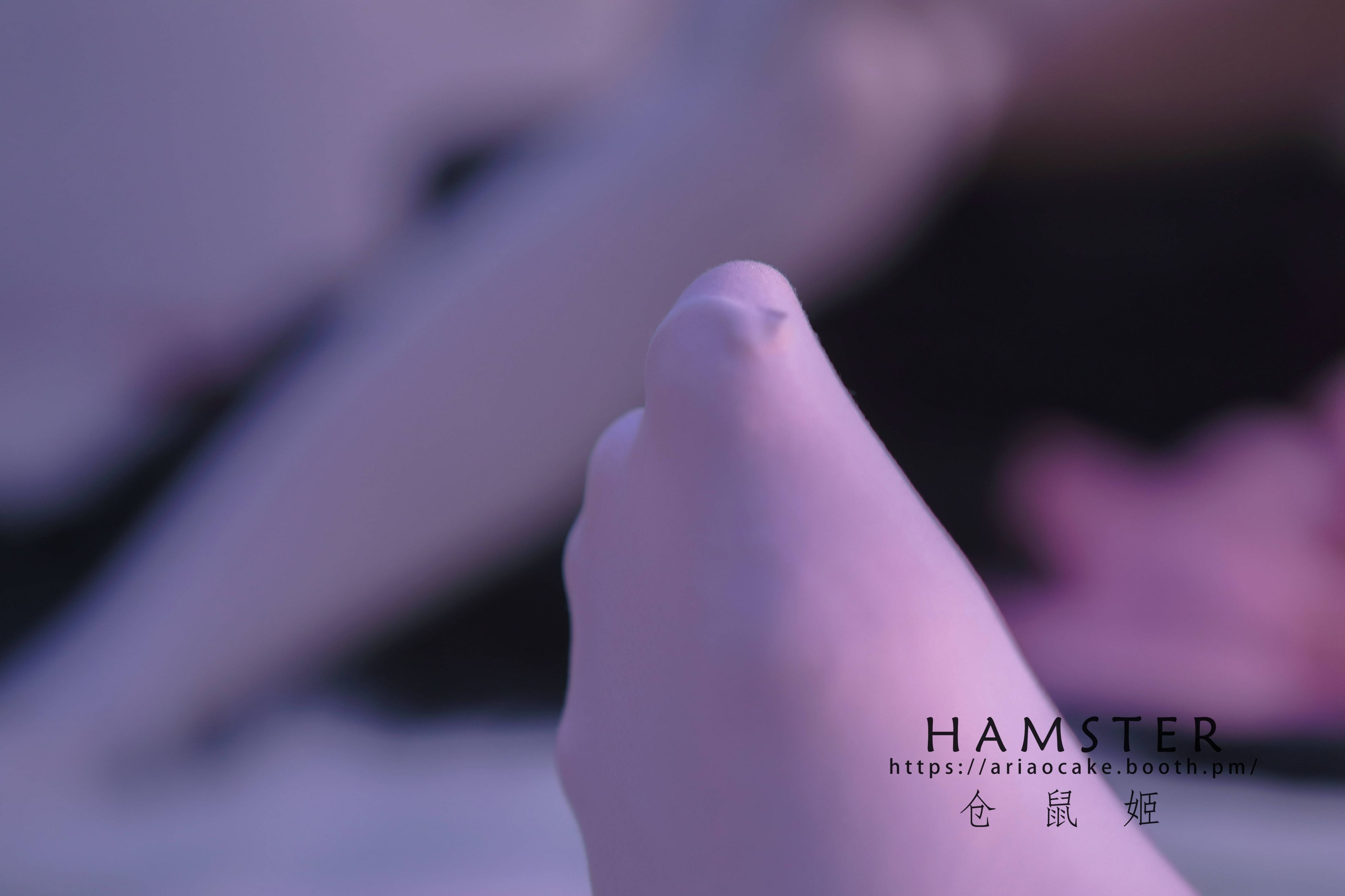 HAMSTERS 仓鼠姬 - NO.005 VOL.02 居家女友2 [34P-38MB] 19