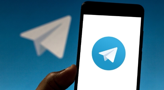 Сливы фотографий telegram