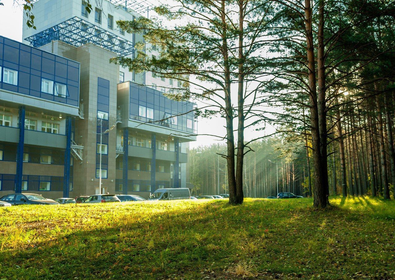 сибирский федеральный университет фото