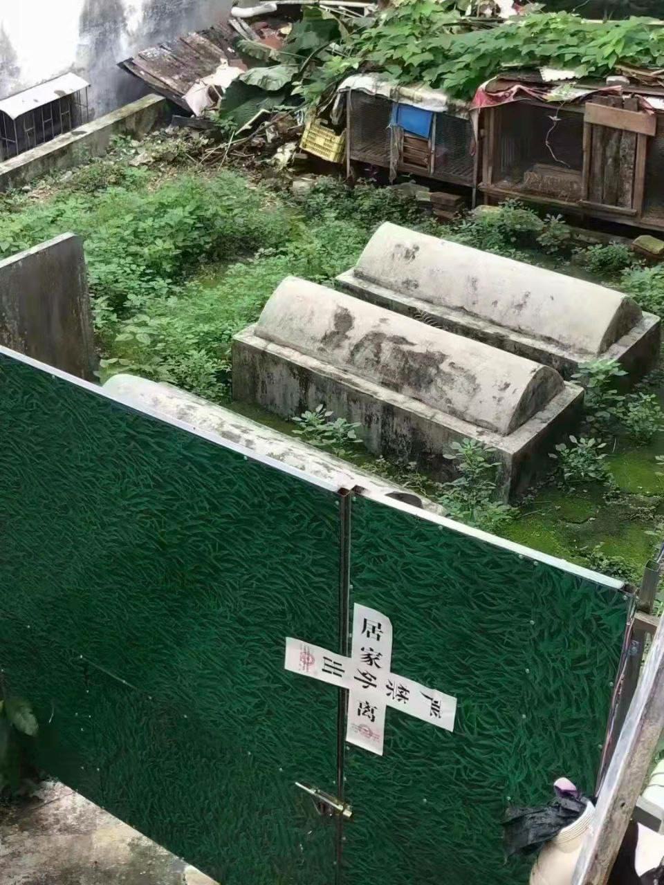 https://telegra.ph/file/b3b39a95a4cf2fd070c81.jpg