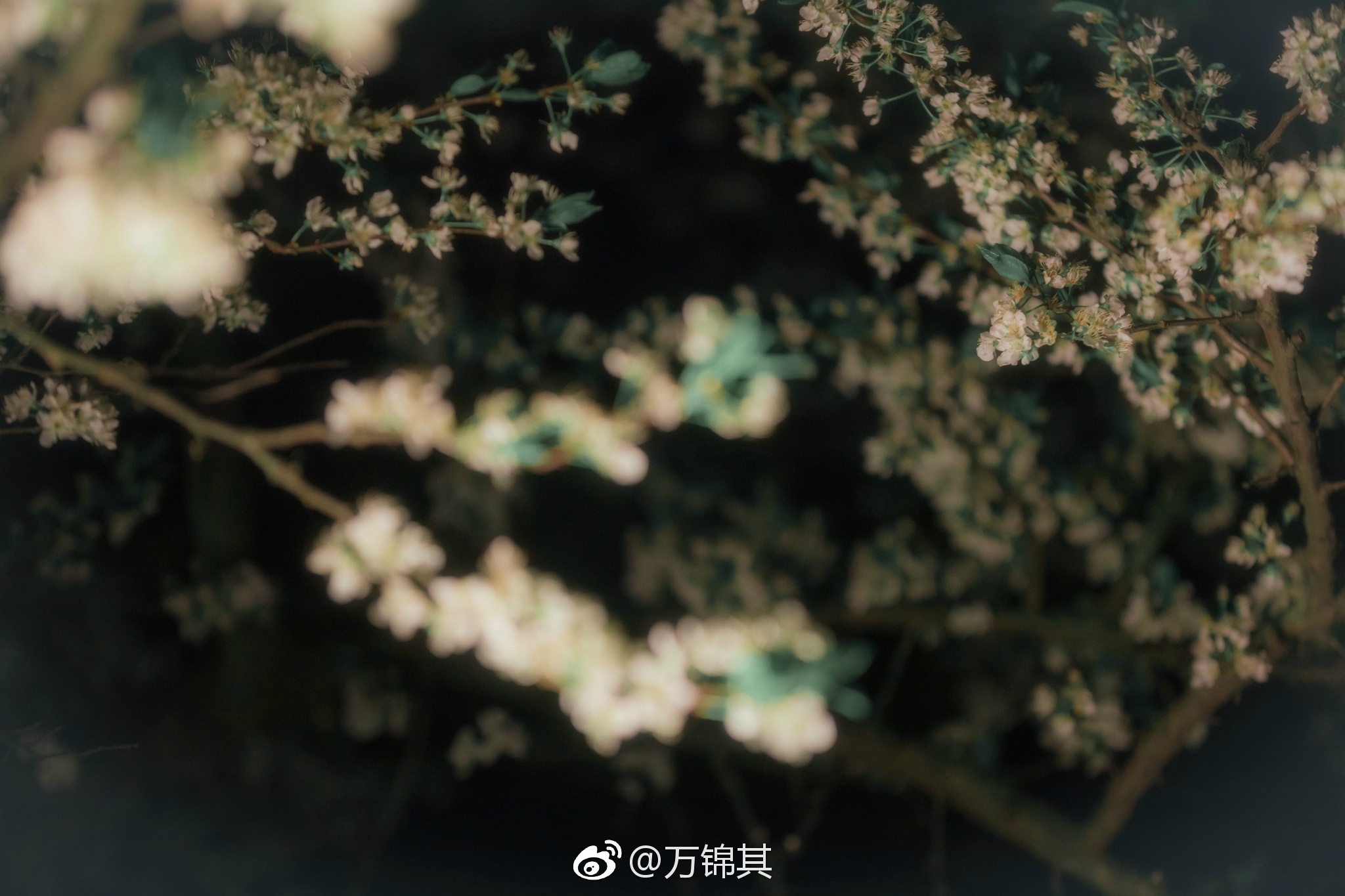 图片[61]-040 迷失幻境系列 – 第040期（汉服） [136P-295.19 MB]-六色网