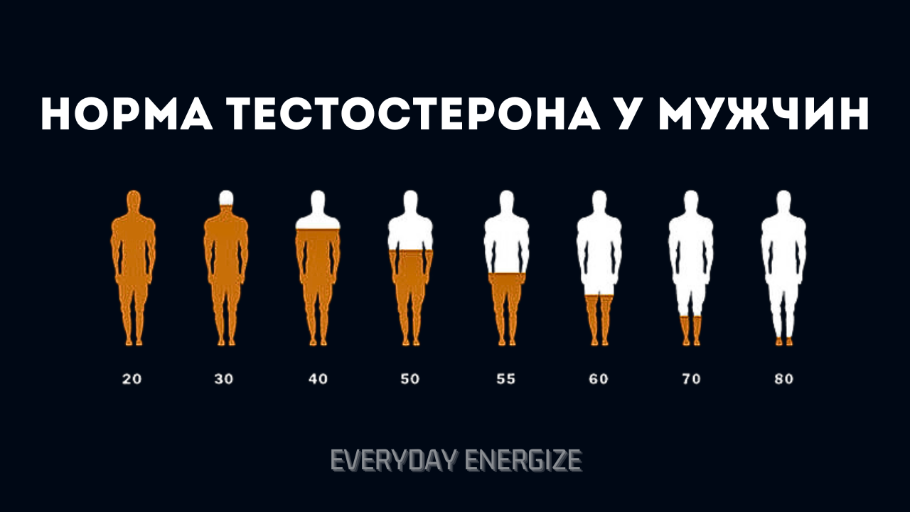 Как повысить тестостерон? – Telegraph