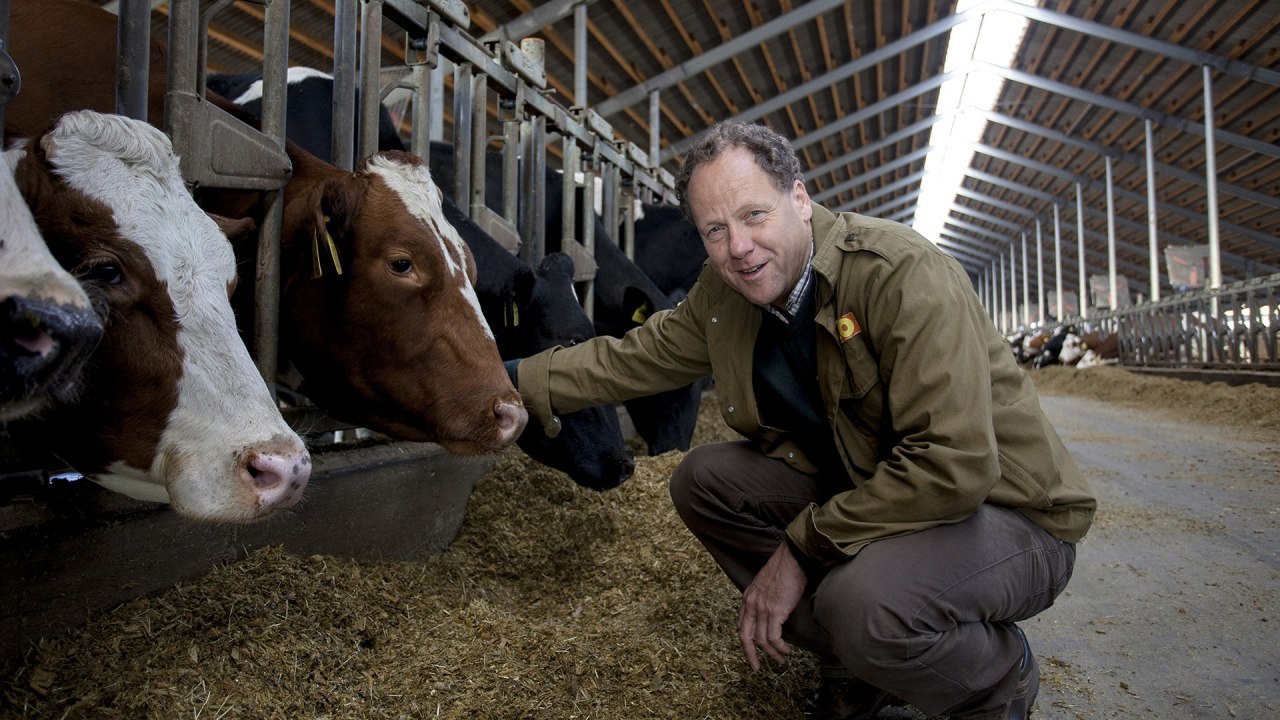 «ЭкоНива» поставляет органическое молоко в Латвию для производства детского питания