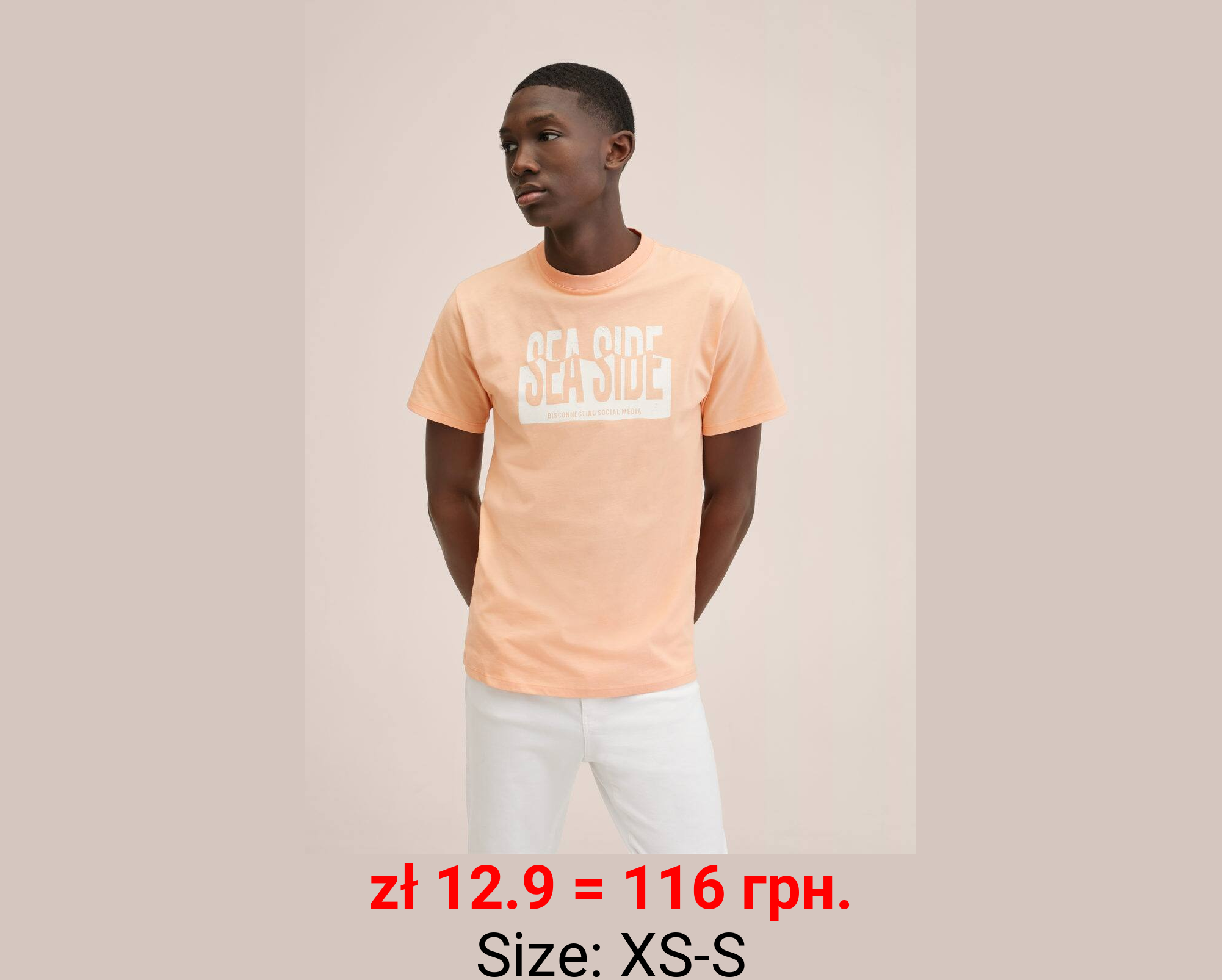 Camiseta algodón estampado