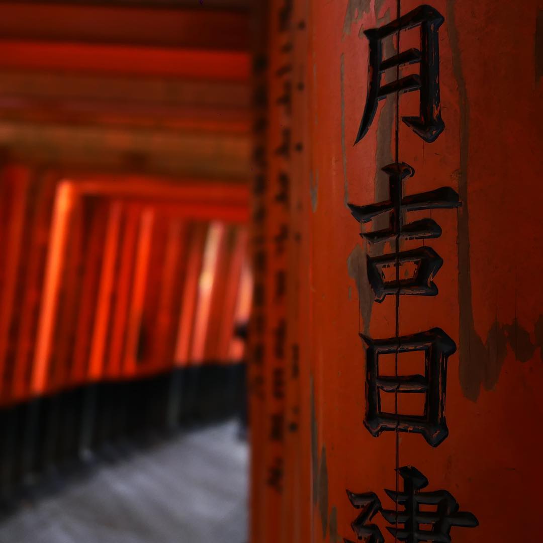 [Image: b486eb4930c1cf82d31b4.jpg]
