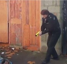 Пьяный хабаровчанин приказал своей собаке атаковать полицейского