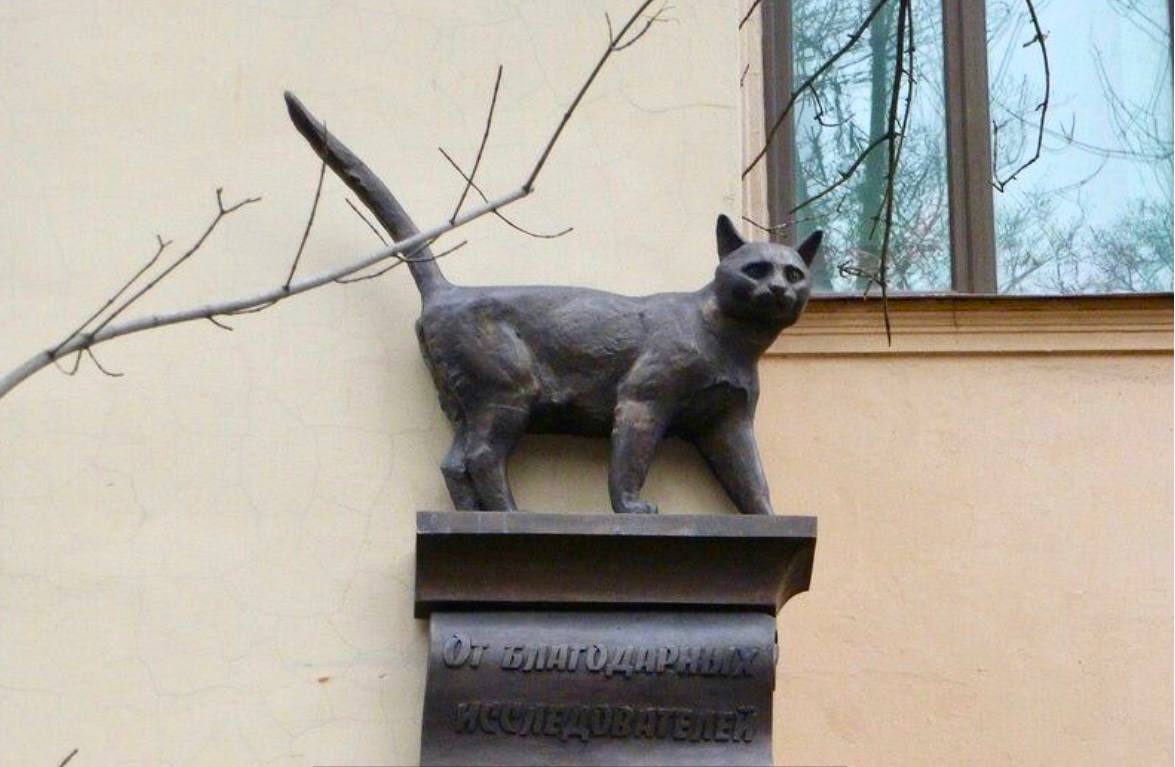 Памятник кошке рассказ