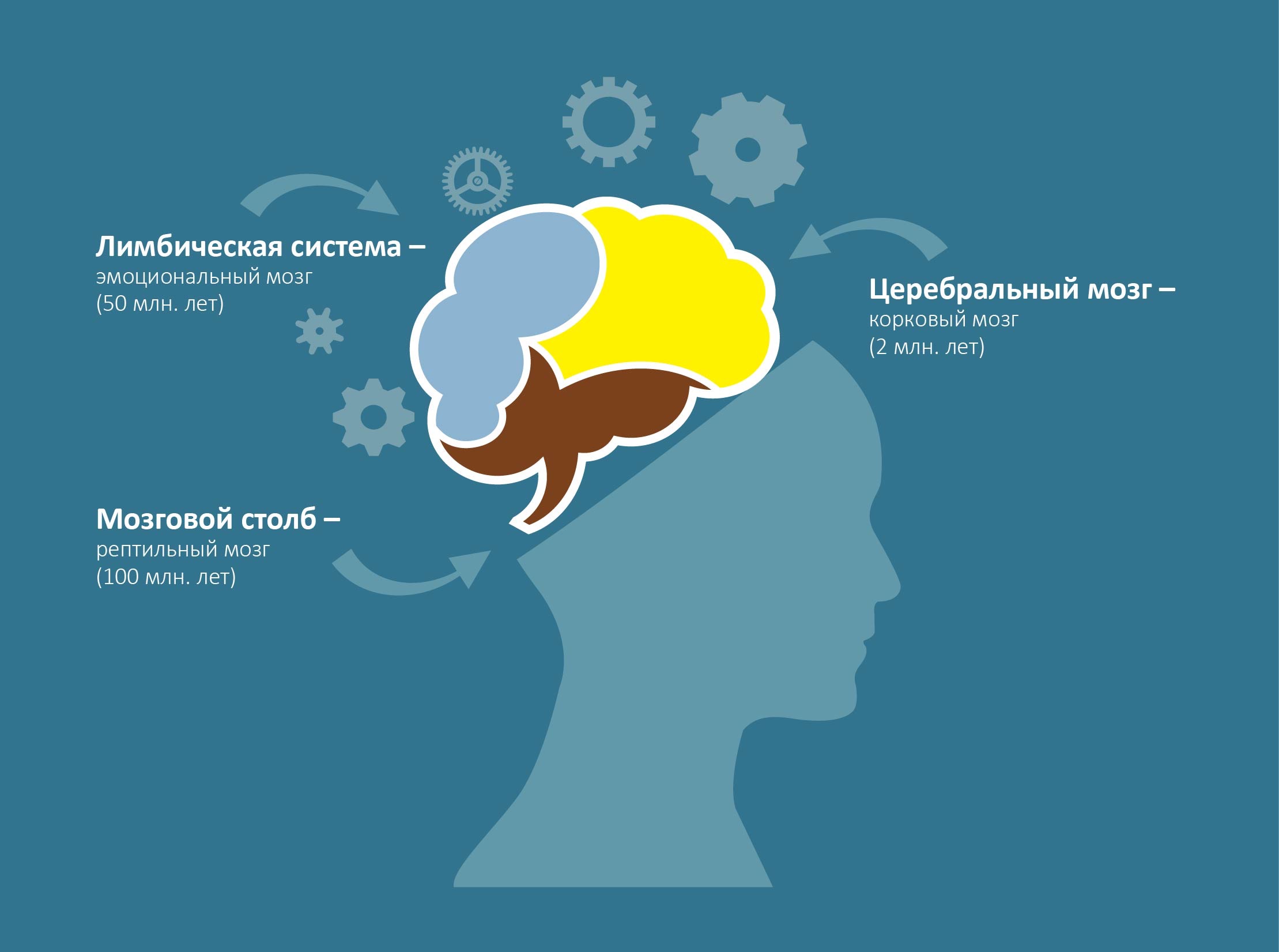 Мозг и эмоции. Эмоциональный мозг. Рептильный мозг. Эмоциональная система мозга. Эмоциональный интеллект мозг.