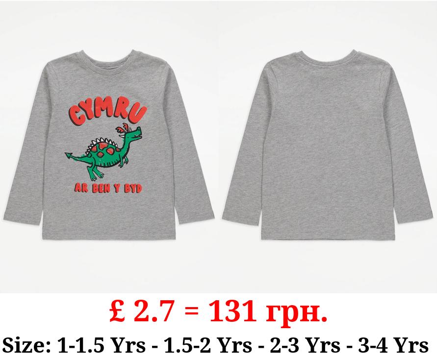 Grey Wales Cymru Dragon Long Sleeve Top