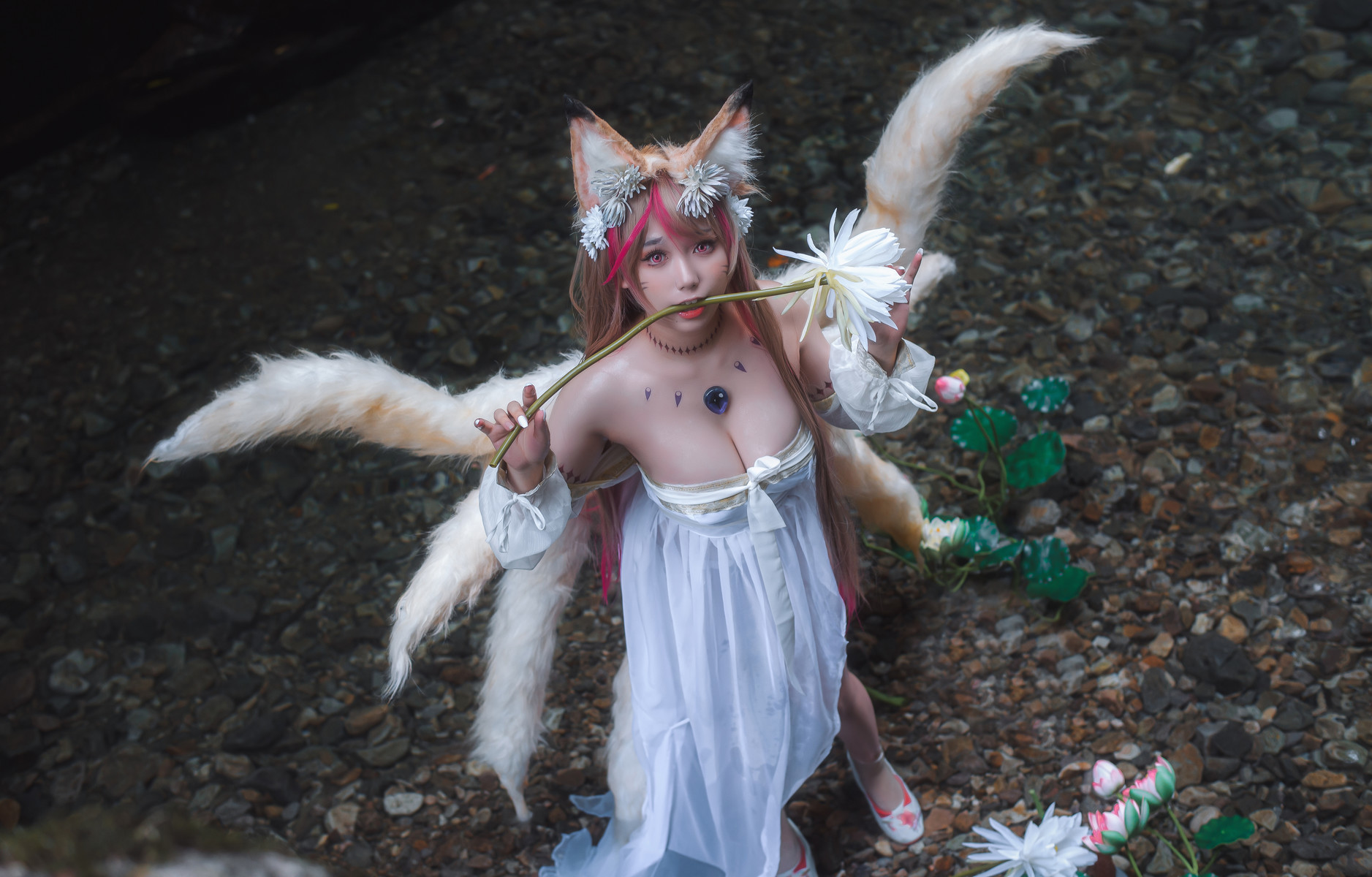 一北亦北 Cosplay 天命之子玉藻前 16