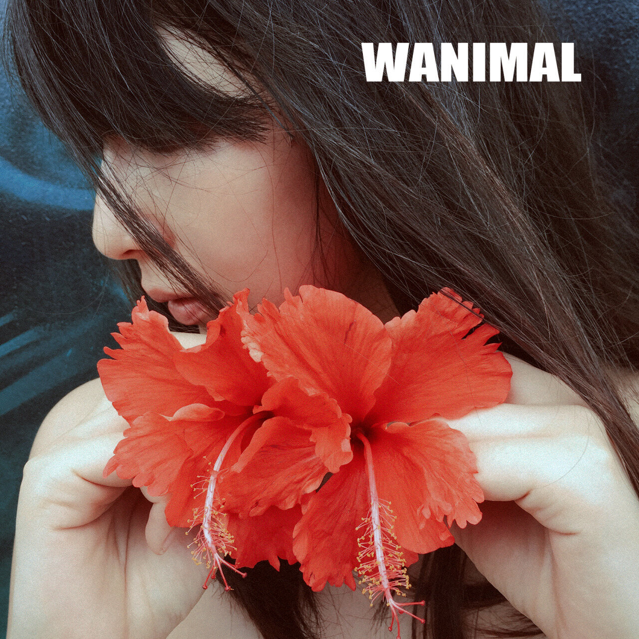 [WANIMAL王動系列] Tumblr博客寫真作品 Set.27 5