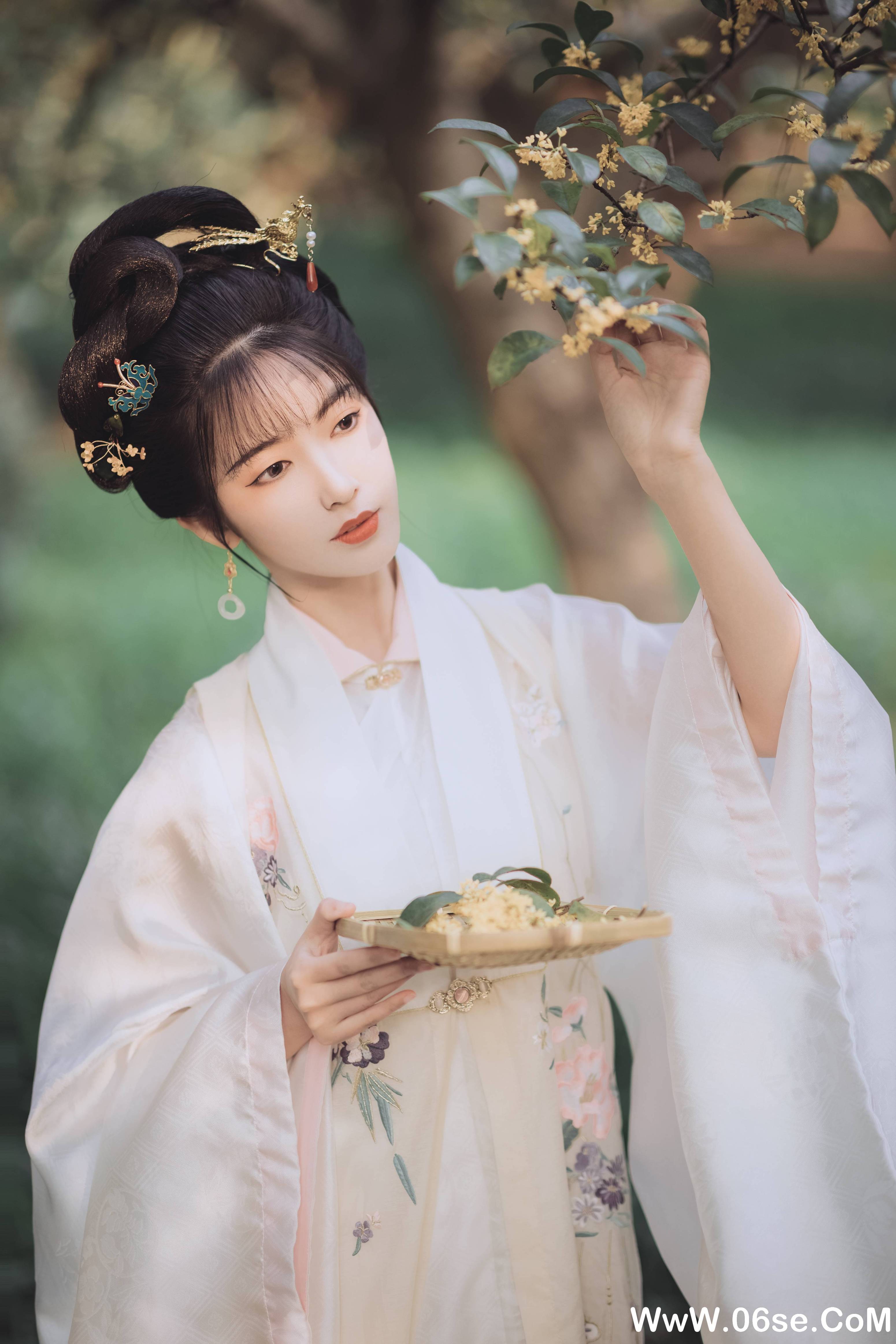 图片[33]-[YITUYU艺图语]2021.11.22 桂花酿 一只阿梦崽[35+1P／307MB]-六色网