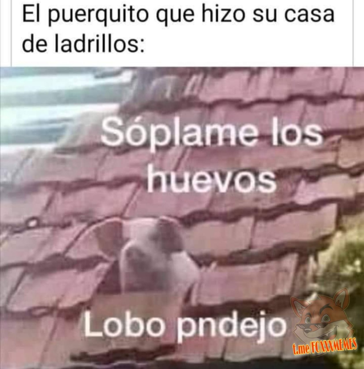 El cerdito de la casa de ladrillos