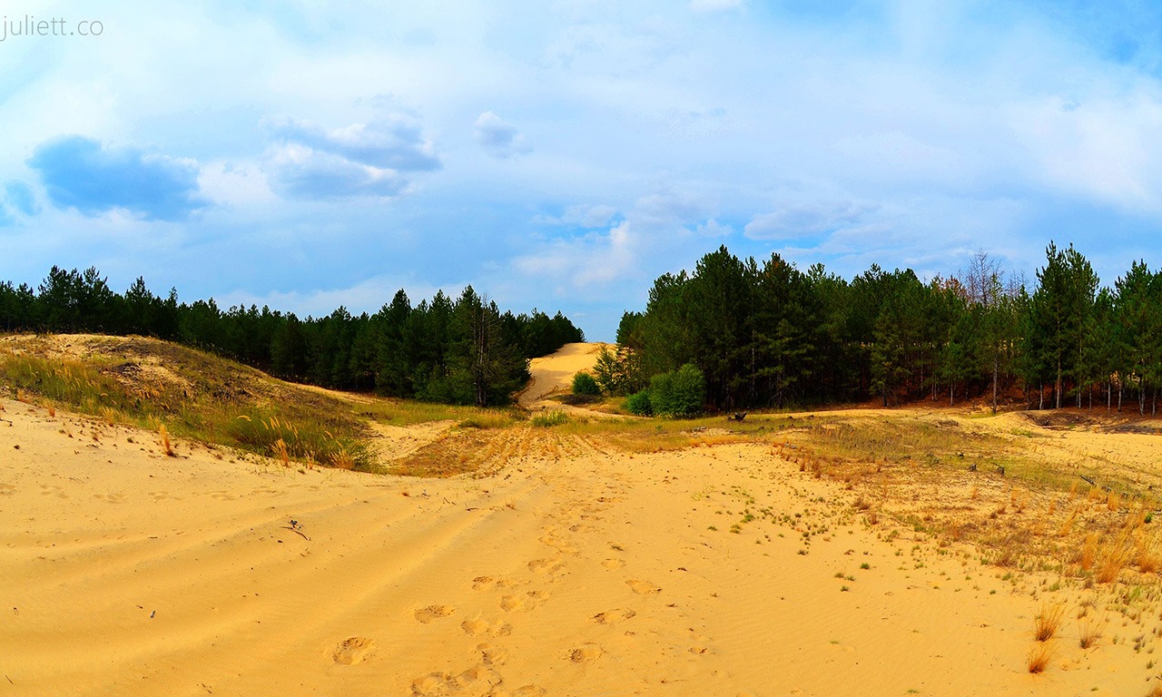 Олешковские пески