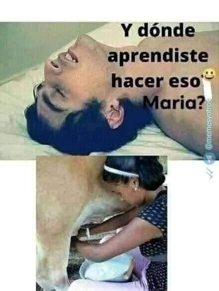María, ¿dónde aprendiste a hacer eso?