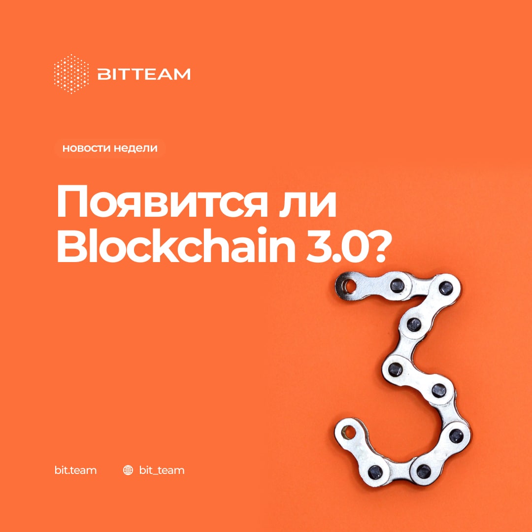 Тим бит. Bit Team.