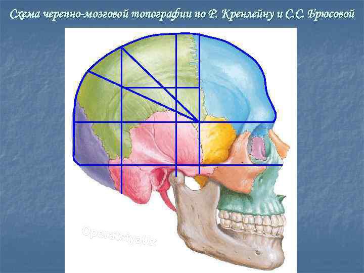 схема черепно мозговой топографии кренлейна брюсовой