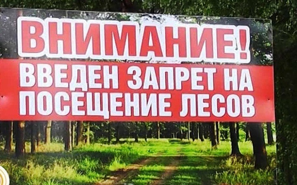 В Хабаровском крае продлен запрет на посещение лесов