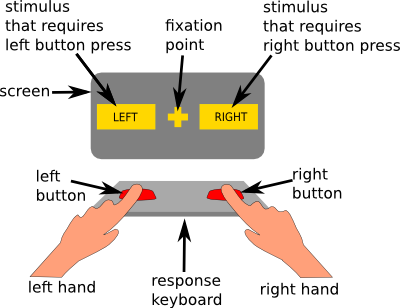 Stimulus response. Stimulus. Stimuli meaning. . Stimuli Responsive II (T, E, HV).