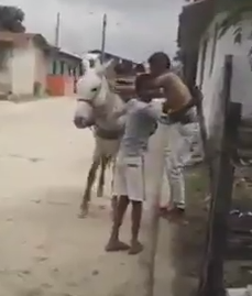 Subiendo al burro