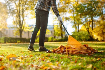 The Importance Of Cleanliness: A Comprehensive Guide – Telegraph