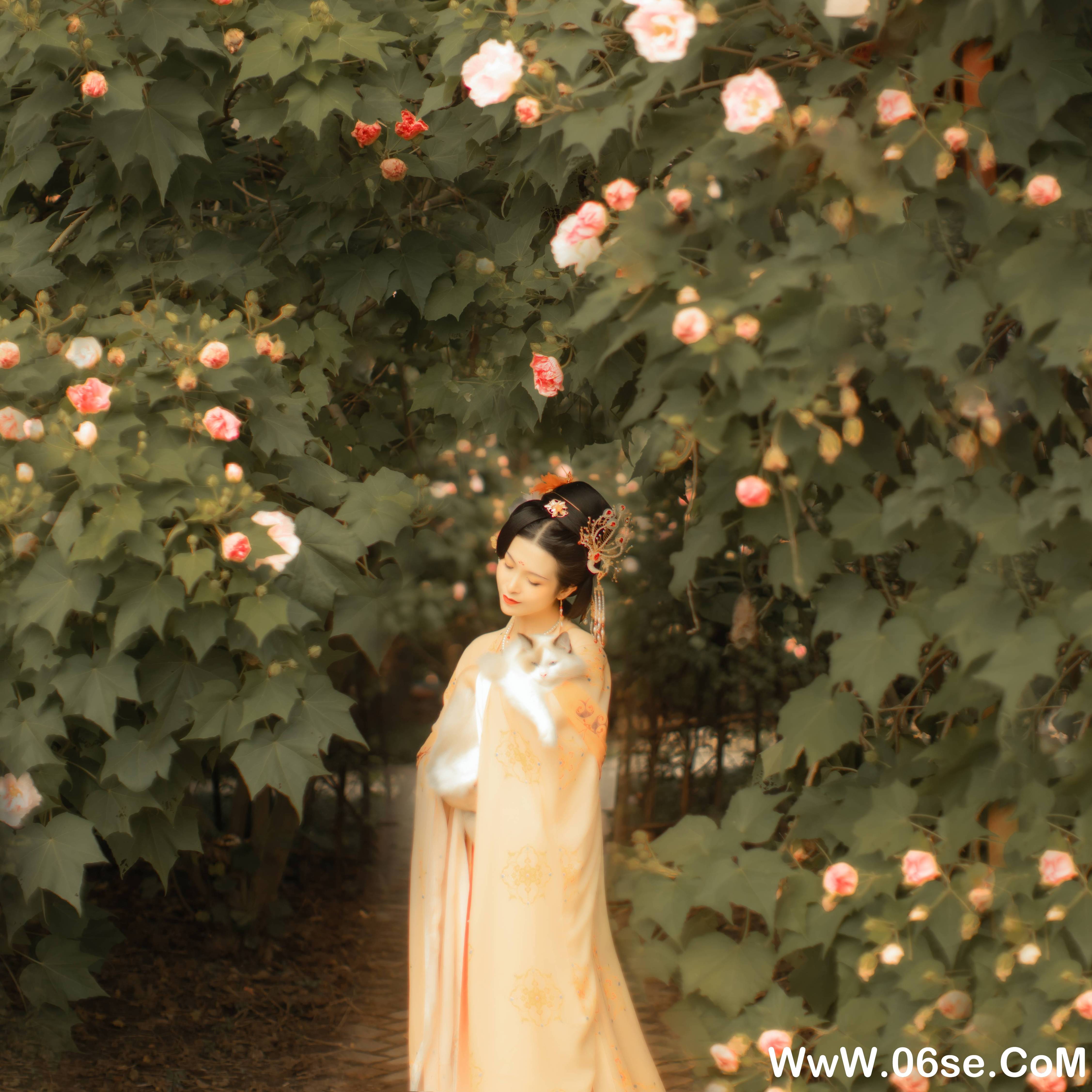 图片[34]-[YITUYU艺图语]2021.11.18 芙蓉词 修水凝花[37+1P／515MB]-六色网