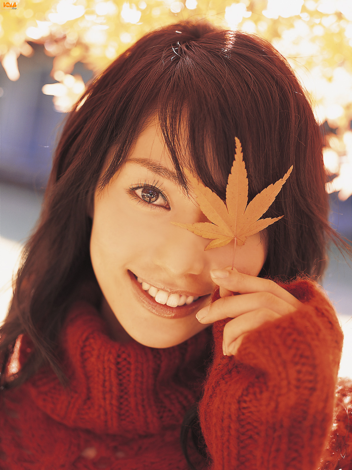 [Image: b9178b99658ddfdf8b823.jpg]