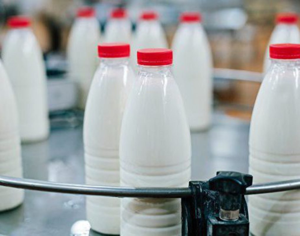 «Питерпром» построит молочный завод в Ленобласти