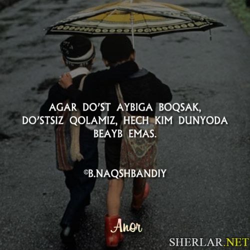 Маноли шерлар картинка