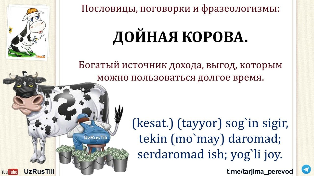 Текст про корову. Фразеологизмы со словом корова. Пословицы про корову.